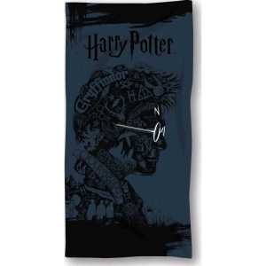 Harry Potter Strandtuch oder Badetuch