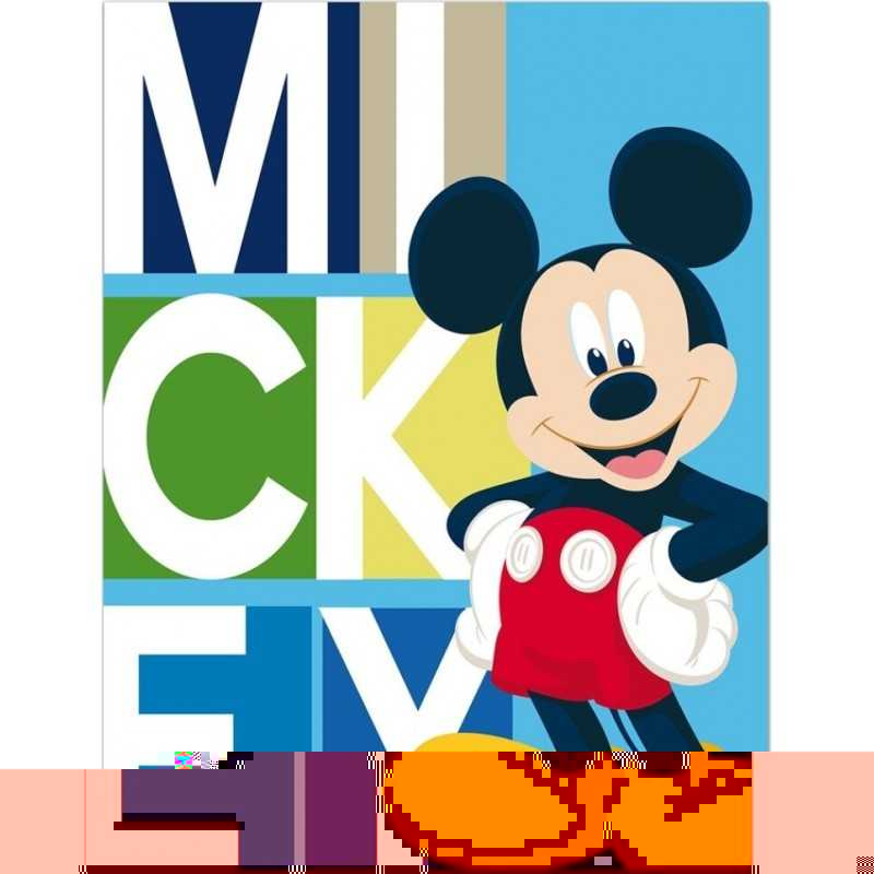 Plaid Mickey Disney