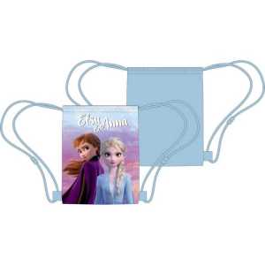 Frozen Disney pool bag