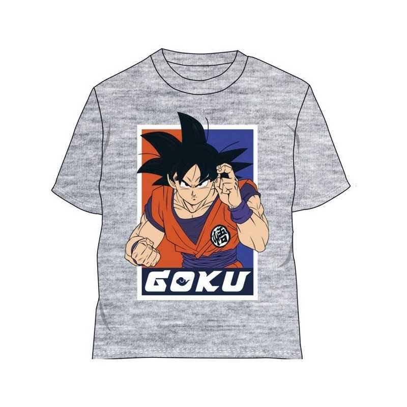 Dragon Ball t-shirt