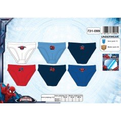 Boite de 3 Slips Spiderman