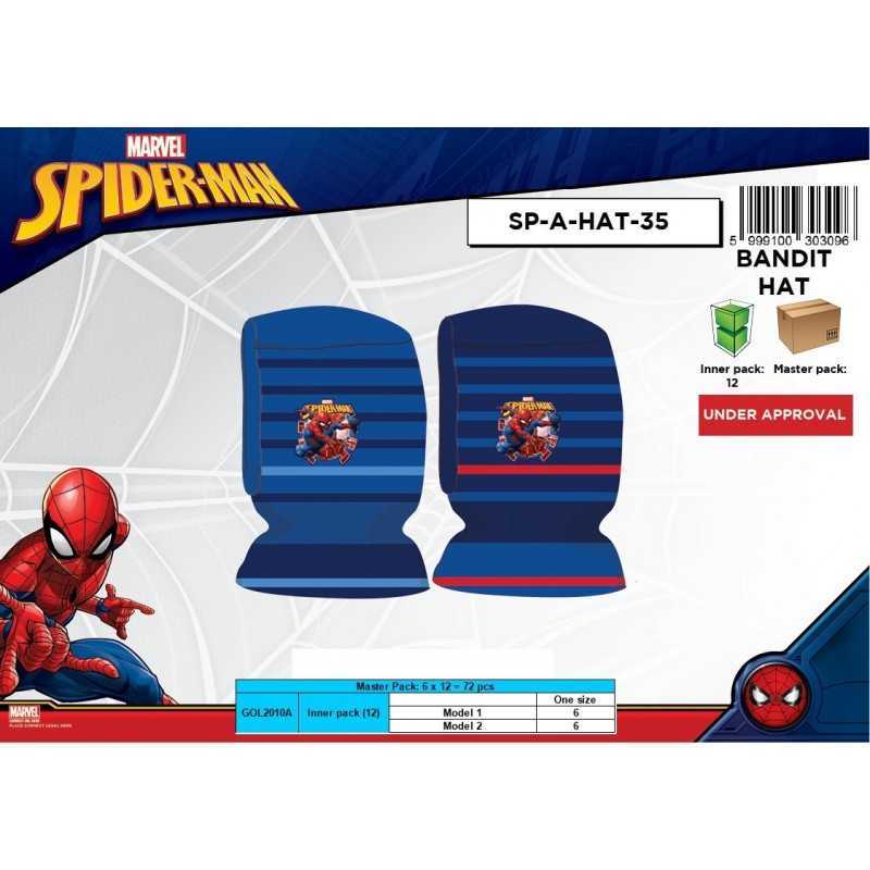 Spiderman Hood